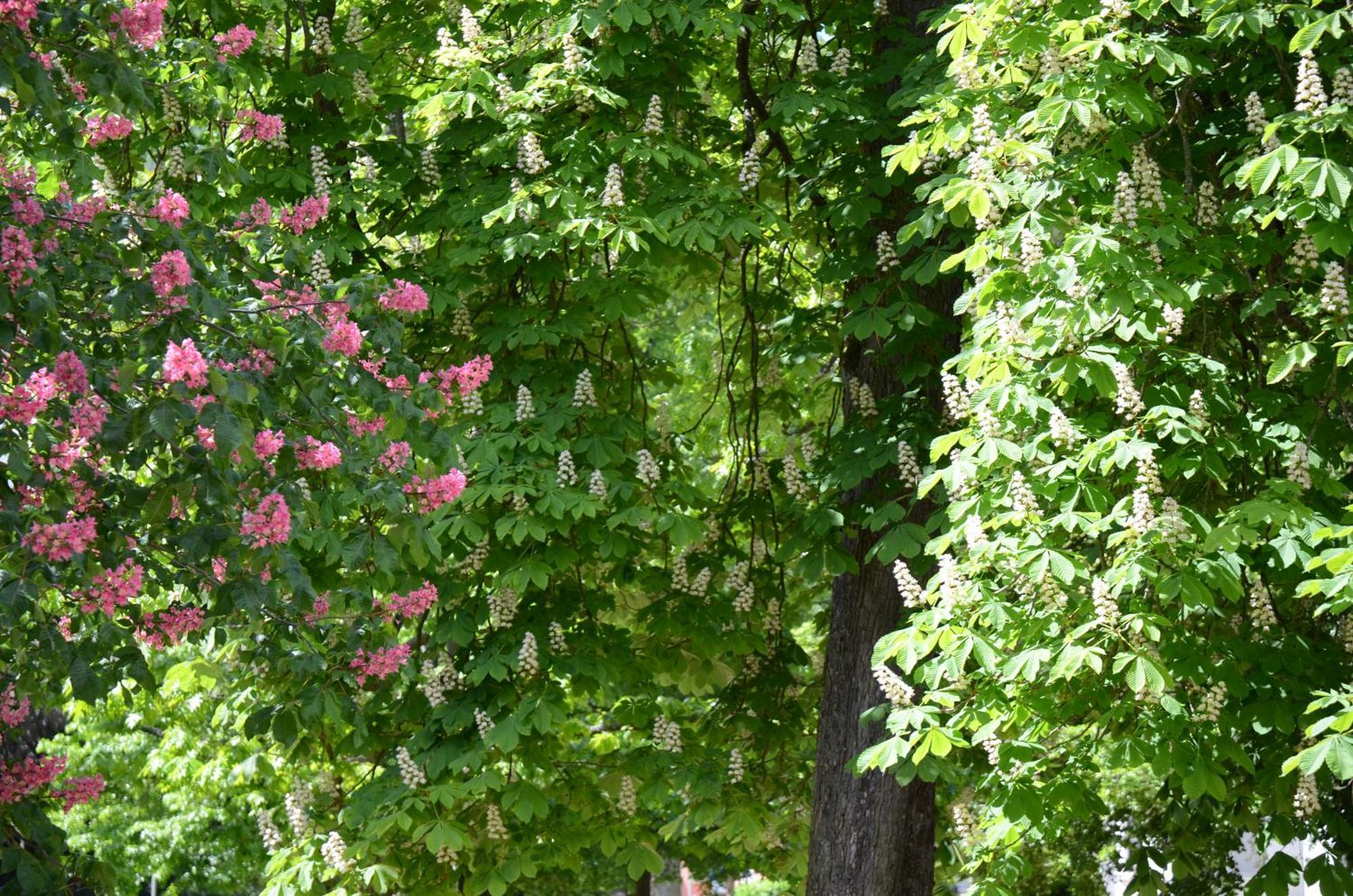 Appartement Am Oranienpark Im Kurviertel บาดครอยซ์นาค ภายนอก รูปภาพ